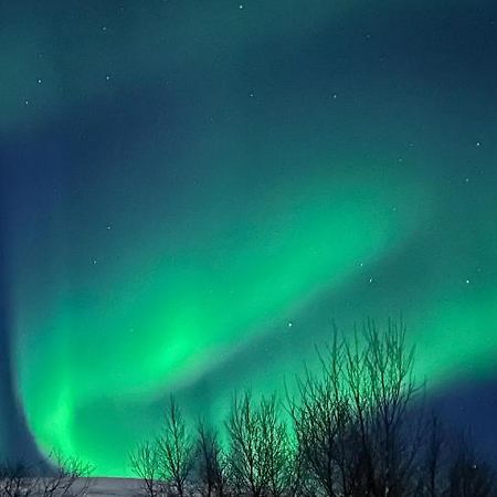 Tromsdalen Aurora Apartments ترومسو المظهر الخارجي الصورة