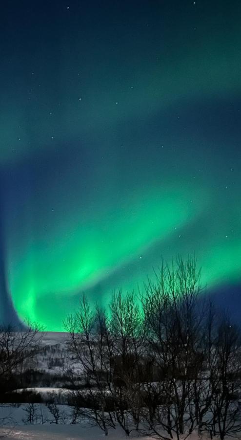 Tromsdalen Aurora Apartments ترومسو المظهر الخارجي الصورة